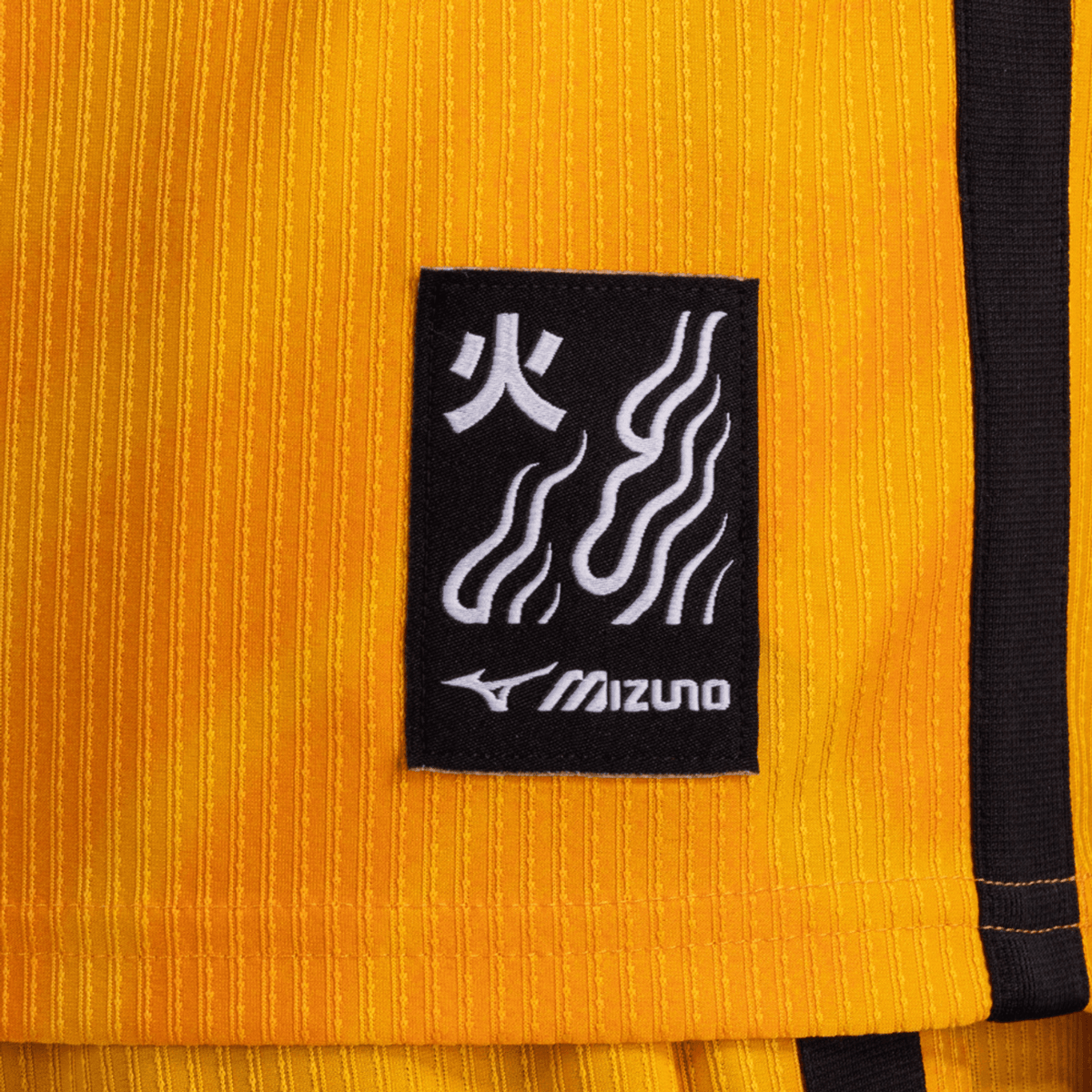 Camisa Botafogo Mizuno Goleiro Home 26/27