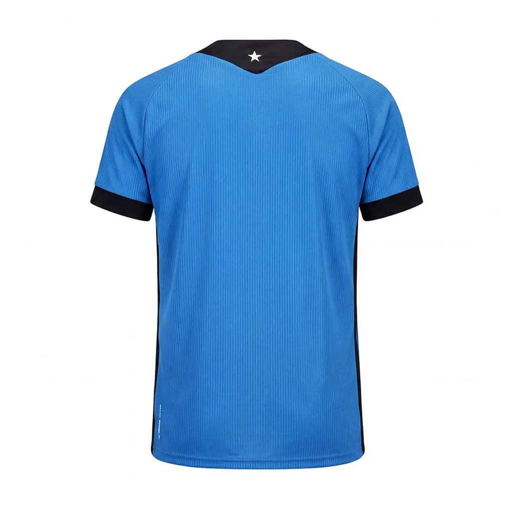 Camisa Botafogo Mizuno Goleiro Away 26/27