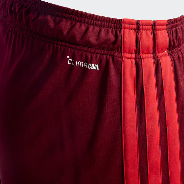 Shorts Internacional III 26/27 Adidas Masculino - Vinho