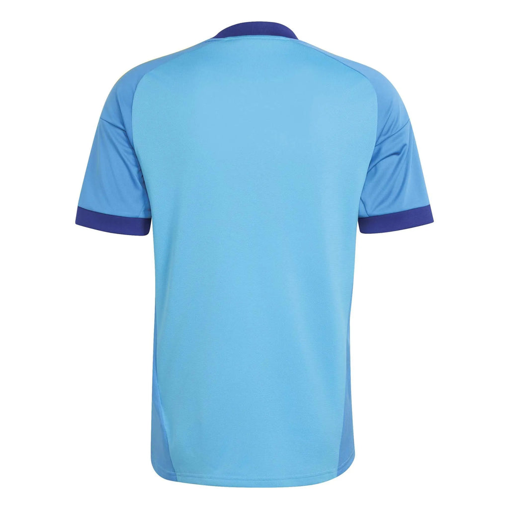 Manto Flamengo Goleiro 3 Adidas 2026 - Jogo 3