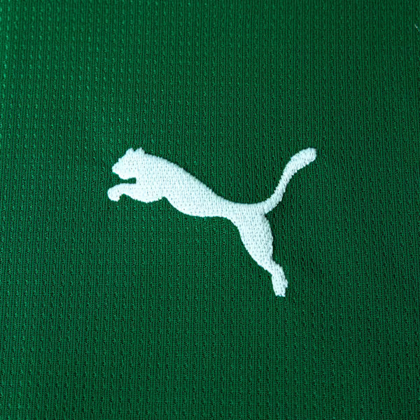 Camisa Palmeiras HOME 2026 Torcedora Feminina