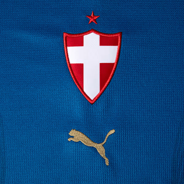 Camisa Palmeiras Torcedor Third Feminina 26/27