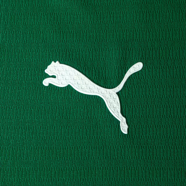 Camisa Palmeiras HOME 2026 Jogador Masculina