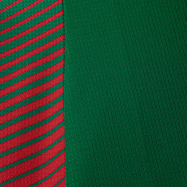 Camisa Palmeiras HOME 2026 Torcedora Feminina