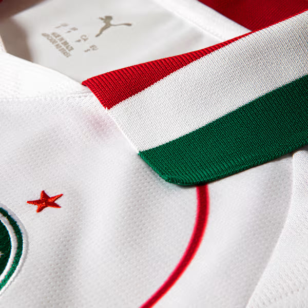 Camisa Palmeiras AWAY 2026 Torcedora Feminina